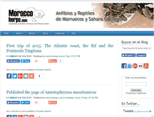 Tablet Screenshot of blog.moroccoherps.com